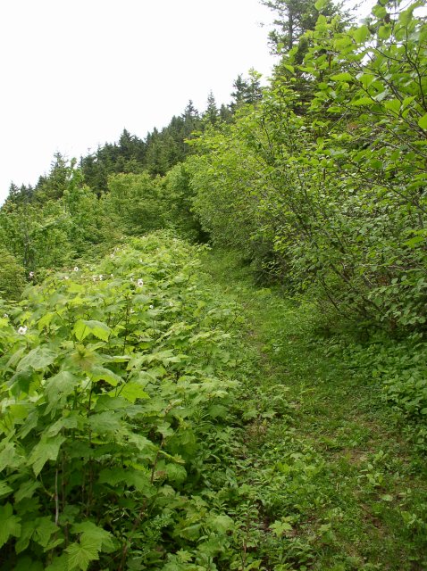 6.10.06 Table Mtn_3CR 107 